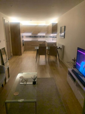 stunning 2 bed penthouse Canning Town
